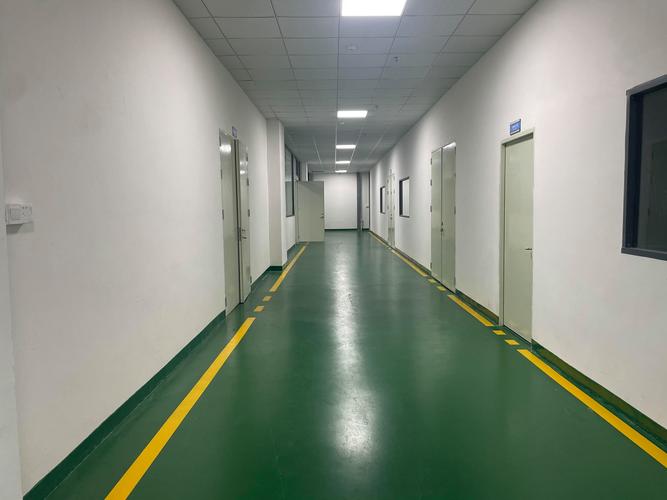 硅创科技（东莞） 以创新驱动发展的科技企业成长之路